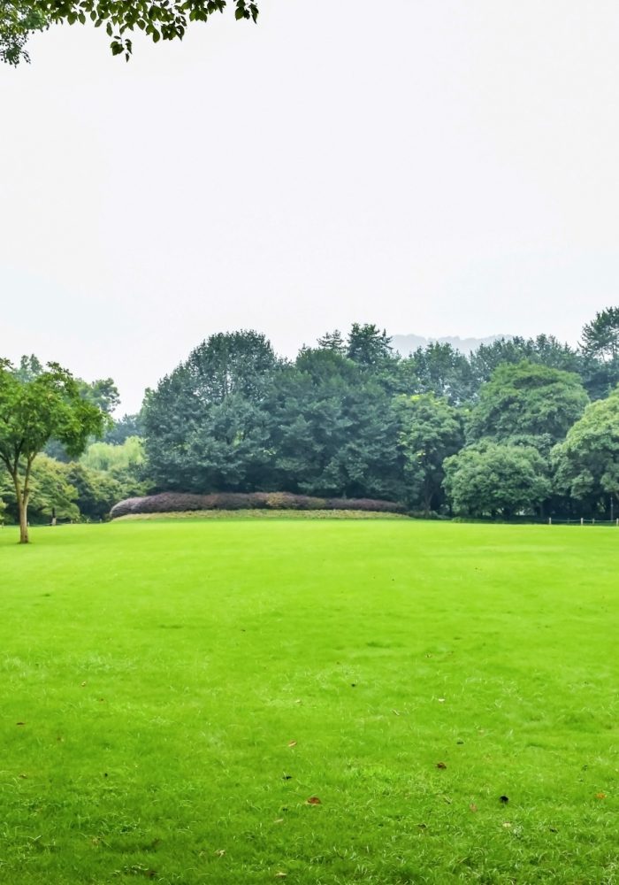 green-meadow-with-leafy-trees